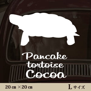y}\ P5{z  XebJ[ y pP[LNK zL ybg J[ ybgXebJ[ 킢 Vv JbeBOV[g ObY O  I[_[ O V[  ]