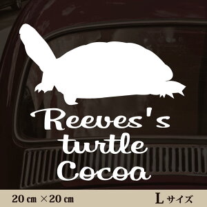 y }\ P5{ z XebJ[ y NTK zL ybg J[ ybgXebJ[ 킢 Vv JbeBOV[g ObY O  I[_[ O V[  ]ʎ J