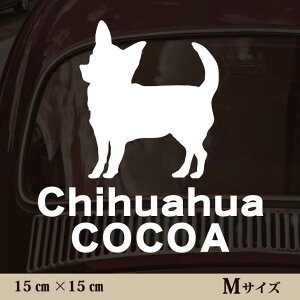  XebJ[ y ` X[X zMTCY ybg J[ ybgXebJ[ 킢 Vv JbeBOV[g ObY O  I[_[ O V[  ]ʎ 