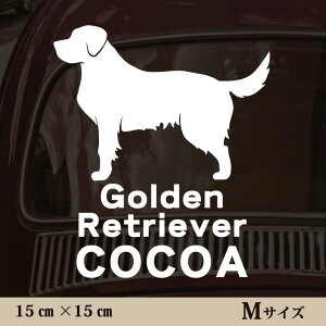 y }\ P5{ z XebJ[ y S[fg[o[ zMTCY ybg J[ ybgXebJ[ 킢 Vv JbeBOV[g ObY O  I[_[ O V[