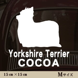  XebJ[ y [NV[eA zMTCY ybg J[ ybgXebJ[ 킢 Vv JbeBOV[g ObY O  I[_[ O V[  ]ʎ 