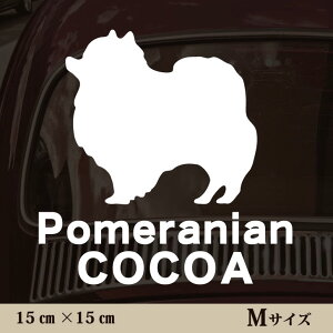  XebJ[ y |jA zMTCY ybg J[ ybgXebJ[ 킢 Vv JbeBOV[g ObY O  I[_[ O V[  ]ʎ 