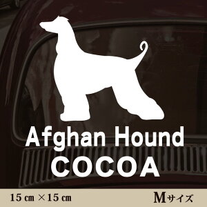 y }\ P5{ z XebJ[ y AtKnEh zMTCY ybg J[ ybgXebJ[ 킢 Vv JbeBOV[g ObY O  I[_[ O V[ 