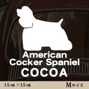  XebJ[ y AJRbJ[XpjG zMTCY ybg J[ ybgXebJ[ 킢 Vv JbeBOV[g ObY O  I[_[ O V[  ]ʎ