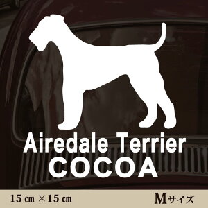 y }\ P5{ z XebJ[ y GAf[eA zMTCY ybg J[ ybgXebJ[ 킢 Vv JbeBOV[g ObY O  I[_[ O V[ 