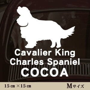  XebJ[ y LoALO`[YXpjG zMTCY ybg J[XebJ[ 킢 Vv JbeBOV[g ObY O  I[_[ O V[  