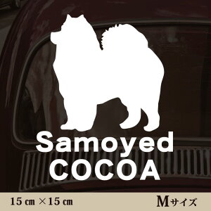  XebJ[ y TGh zMTCY ybg J[ ybgXebJ[ 킢 Vv JbeBOV[g ObY O  I[_[ O V[  ]ʎ 