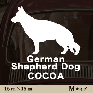  XebJ[ y W[}VFp[h zMTCY ybg J[ ybgXebJ[ 킢 Vv JbeBOV[g ObY O  I[_[ O V[  ]ʎ 