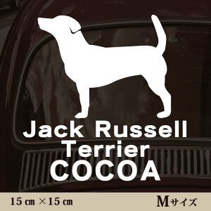  XebJ[ y WbNbZeA X[X zMTCY ybg J[ ybgXebJ[ 킢 Vv JbeBOV[g ObY O  I[_[ O V[  ]