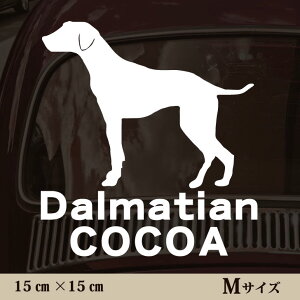  XebJ[ y _VA zMTCY ybg J[ ybgXebJ[ 킢 Vv JbeBOV[g ObY O  I[_[ O V[  ]ʎ 