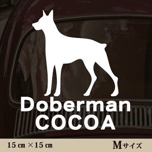 y }\ P5{ z XebJ[ y h[x} zMTCY ybg J[ ybgXebJ[ 킢 Vv JbeBOV[g ObY O  I[_[ O V[  ]