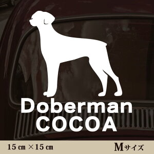  XebJ[ y h[x} ꎨ zMTCY ybg J[ ybgXebJ[ 킢 Vv JbeBOV[g ObY O  I[_[ O V[  ]ʎ 