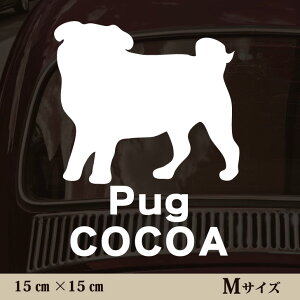 y }\ P5{ z XebJ[ y pO zMTCY ybg J[ ybgXebJ[ 킢 Vv JbeBOV[g ObY O  I[_[ O V[  ]ʎ 