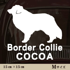  XebJ[ y {[_[R[ zMTCY ybg J[ ybgXebJ[ 킢 Vv JbeBOV[g ObY O  I[_[ O V[  ]ʎ 