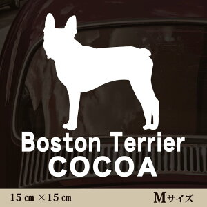  XebJ[ y {XgeA zMTCY ybg J[ ybgXebJ[ 킢 Vv JbeBOV[g ObY O  I[_[ O V[  ]ʎ 