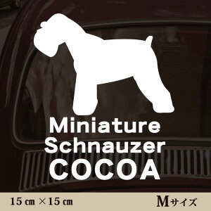  XebJ[ y ~j`AViEU[ zMTCY ybg J[ ybgXebJ[ 킢 Vv JbeBOV[g ObY O  I[_[ O V[  ]ʎ 