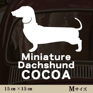 y }\ P5{ z XebJ[ y ~j`A_bNXth X[X zMTCY ybg J[ ybgXebJ[ 킢 Vv JbeBOV[g ObY O  I[_[ 