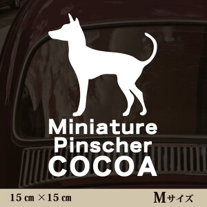  XebJ[ y ~j`AsV[ zMTCY ybg J[ ybgXebJ[ 킢 Vv JbeBOV[g ObY O  I[_[ O V[  ]ʎ 