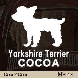 y }\ P5{ z XebJ[ y [NV[eA ps[Jbg zMTCY ybg J[ ybgXebJ[ 킢 Vv JbeBOV[g ObY O  I[_[ 