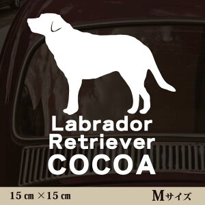  XebJ[ y uh[go[ zMTCY ybg J[ ybgXebJ[ 킢 Vv JbeBOV[g ObY O  I[_[ O V[  ]ʎ 