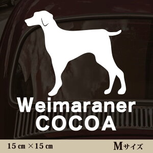 y BLACK FRIDAY P5{ z  XebJ[ y C}i[ zMTCY ybg J[ ybgXebJ[ 킢 Vv JbeBOV[g ObY O  I[_[ O V[  ]