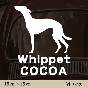  XebJ[ y EBybg zMTCY ybg J[ ybgXebJ[ 킢 Vv JbeBOV[g ObY O  I[_[ O V[  ]ʎ 