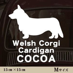  XebJ[ y EFVR[M[J[fBK zMTCY ybg J[ ybgXebJ[ 킢 Vv JbeBOV[g ObY O  I[_[ O V[  ]