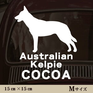  XebJ[ y I[XgAPs[ zMTCY ybg J[ ybgXebJ[ 킢 Vv JbeBOV[g ObY O  I[_[ O V[  ]ʎ 