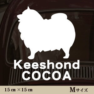  XebJ[ y L[Xzh zMTCY ybg J[ ybgXebJ[ 킢 Vv JbeBOV[g ObY O  I[_[ O V[  ]ʎ 