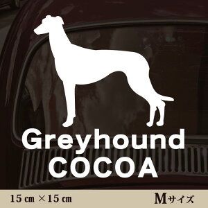 y }\ P5{ z XebJ[ y O[nEh zMTCY ybg J[ ybgXebJ[ 킢 Vv JbeBOV[g ObY O  I[_[ O V[  