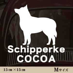  XebJ[ y XLbp[L zMTCY ybg J[ ybgXebJ[ 킢 Vv JbeBOV[g ObY O  I[_[ O V[  ]ʎ 