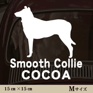 y BLACK FRIDAY P5{ z  XebJ[ y X[XR[ zMTCY ybg J[ ybgXebJ[ 킢 Vv JbeBOV[g ObY O  I[_[ O V[  