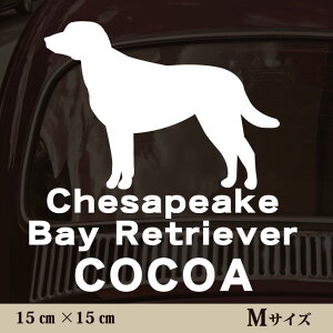  XebJ[ y `FTs[NxCg[o[ zMTCY ybg J[ ybgXebJ[ 킢 Vv JbeBOV[g ObY O  I[_[ O V[  ]ʎ