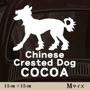  XebJ[ y `Cj[YNXebhhbO zMTCY ybg J[ ybgXebJ[ 킢 Vv JbeBOV[g ObY O  I[_[ O V[  ]