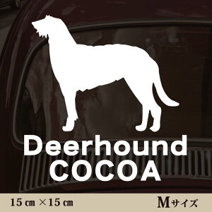  XebJ[ y fBAnEh zMTCY ybg J[ ybgXebJ[ 킢 Vv JbeBOV[g ObY O  I[_[ O V[  ]ʎ 