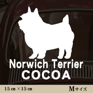  XebJ[ y m[b`eA zMTCY ybg J[ ybgXebJ[ 킢 Vv JbeBOV[g ObY O  I[_[ O V[  ]ʎ 