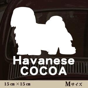  XebJ[ y noj[Y zMTCY ybg J[ ybgXebJ[ 킢 Vv JbeBOV[g ObY O  I[_[ O V[  ]ʎ 