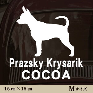  XebJ[ y vVXL[NTW[N zMTCY ybg J[ ybgXebJ[ 킢 Vv JbeBOV[g ObY O  I[_[ O V[  ]ʎ 