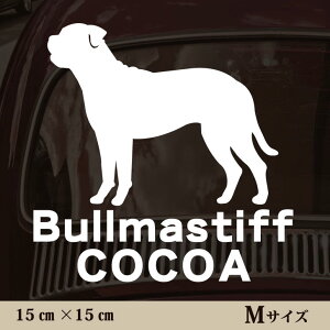 y BLACK FRIDAY P5{ z  XebJ[ y u}XeBt zMTCY ybg J[ ybgXebJ[ 킢 Vv JbeBOV[g ObY O  I[_[ O V[  