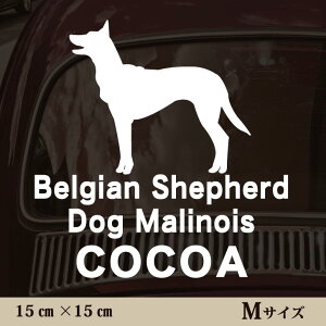  XebJ[ y xWAVFp[hhbO}mA zMTCY ybg J[ ybgXebJ[ 킢 Vv JbeBOV[g ObY O  I[_[ O V[  