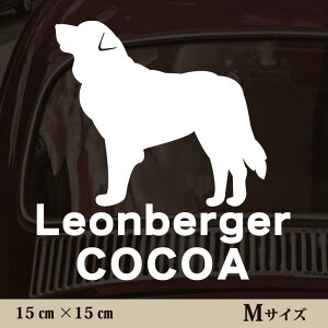  XebJ[ y IxK[ zMTCY ybg J[ ybgXebJ[ 킢 Vv JbeBOV[g ObY O  I[_[ O V[  ]ʎ 