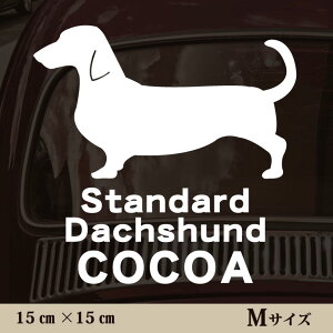  XebJ[ y X^_[h_bNXth zMTCY ybg J[ ybgXebJ[ 킢 Vv JbeBOV[g ObY O  I[_[ O V[  ]ʎ 