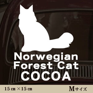  XebJ[ y mEF[WtHXgLbg zMTCY ybg J[ ybgXebJ[ 킢 Vv JbeBOV[g ObY O  I[_[ O V[  