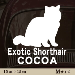  XebJ[ y GL]`bNV[gwA zMTCY ybg J[ ybgXebJ[ 킢 Vv JbeBOV[g ObY O  I[_[ O V[  ]ʎ L