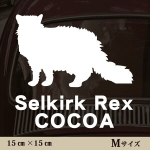  XebJ[ y ZJ[NbNX zMTCY ybg J[ ybgXebJ[ 킢 Vv JbeBOV[g ObY O  I[_[ O V[  ]ʎ L