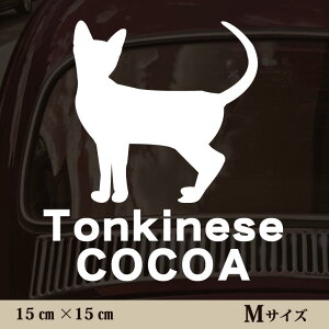  XebJ[ y gLj[Y zMTCY ybg J[ ybgXebJ[ 킢 Vv JbeBOV[g ObY O  I[_[ O V[  ]ʎ L