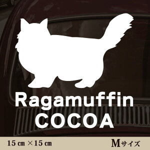  XebJ[ y K}tB zMTCY ybg J[ ybgXebJ[ 킢 Vv JbeBOV[g ObY O  I[_[ O V[  ]ʎ L