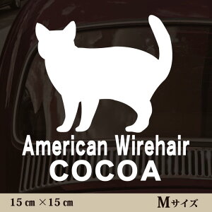  XebJ[ y AJC[wA zMTCY ybg J[ ybgXebJ[ 킢 Vv JbeBOV[g ObY O  I[_[ O V[  ]ʎ L