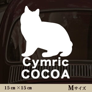 y BLACK FRIDAY P5{ z  XebJ[ y LbN zMTCY ybg J[ ybgXebJ[ 킢 Vv JbeBOV[g ObY O  I[_[ O V[  ]