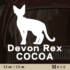 y }\ P5{ z XebJ[ y f{bNX zMTCY ybg J[ ybgXebJ[ 킢 Vv JbeBOV[g ObY O  I[_[ O V[  